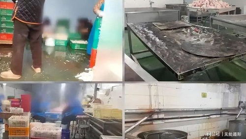 315曝光六种有害物品 全国流通危害健康与财产安全，食品首当其冲