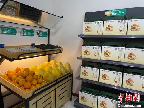 金通工程 打通四川乡村运输的最后一公里，助力食品流通与乡村振兴